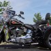 Harley-Davidson Softail Heritage Classic FLSTC thumbnail